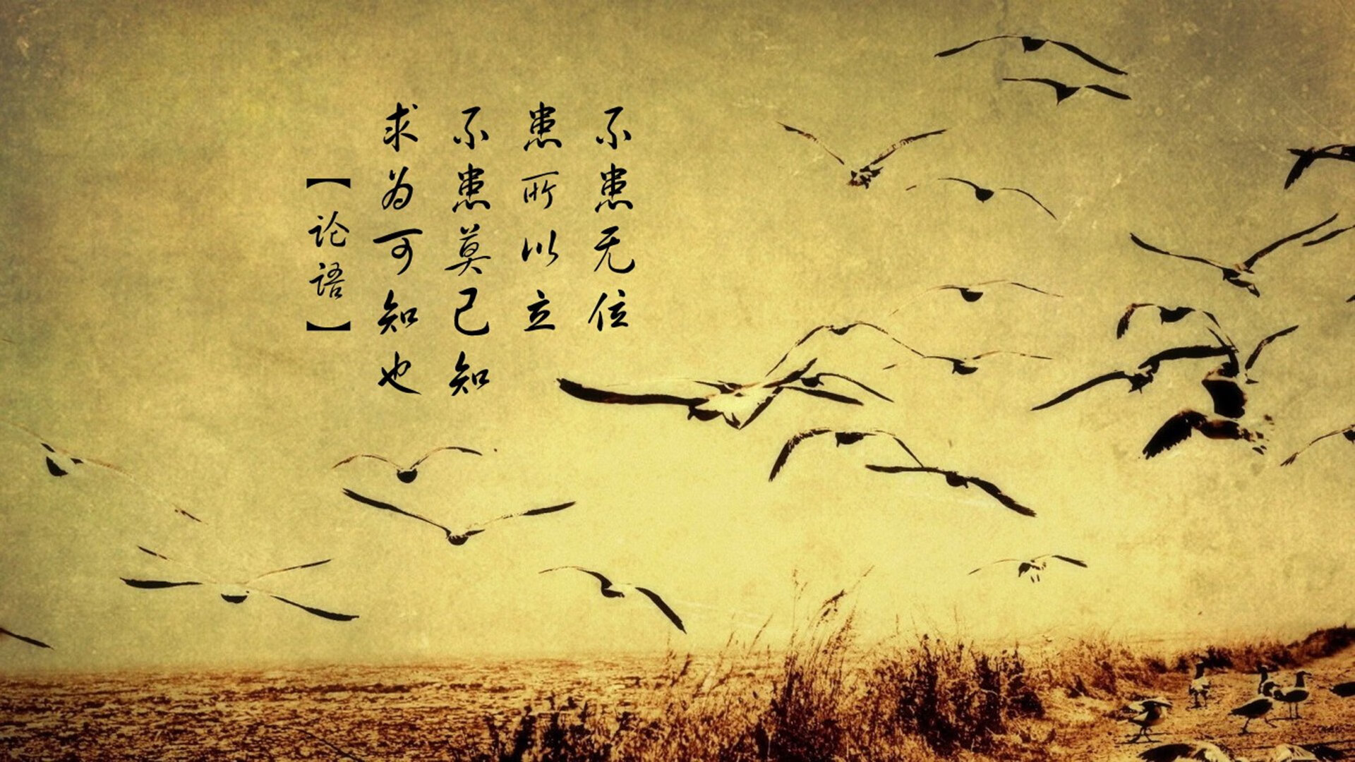 Gen.G选手转会合同细节披露，选手转会是自愿吗
