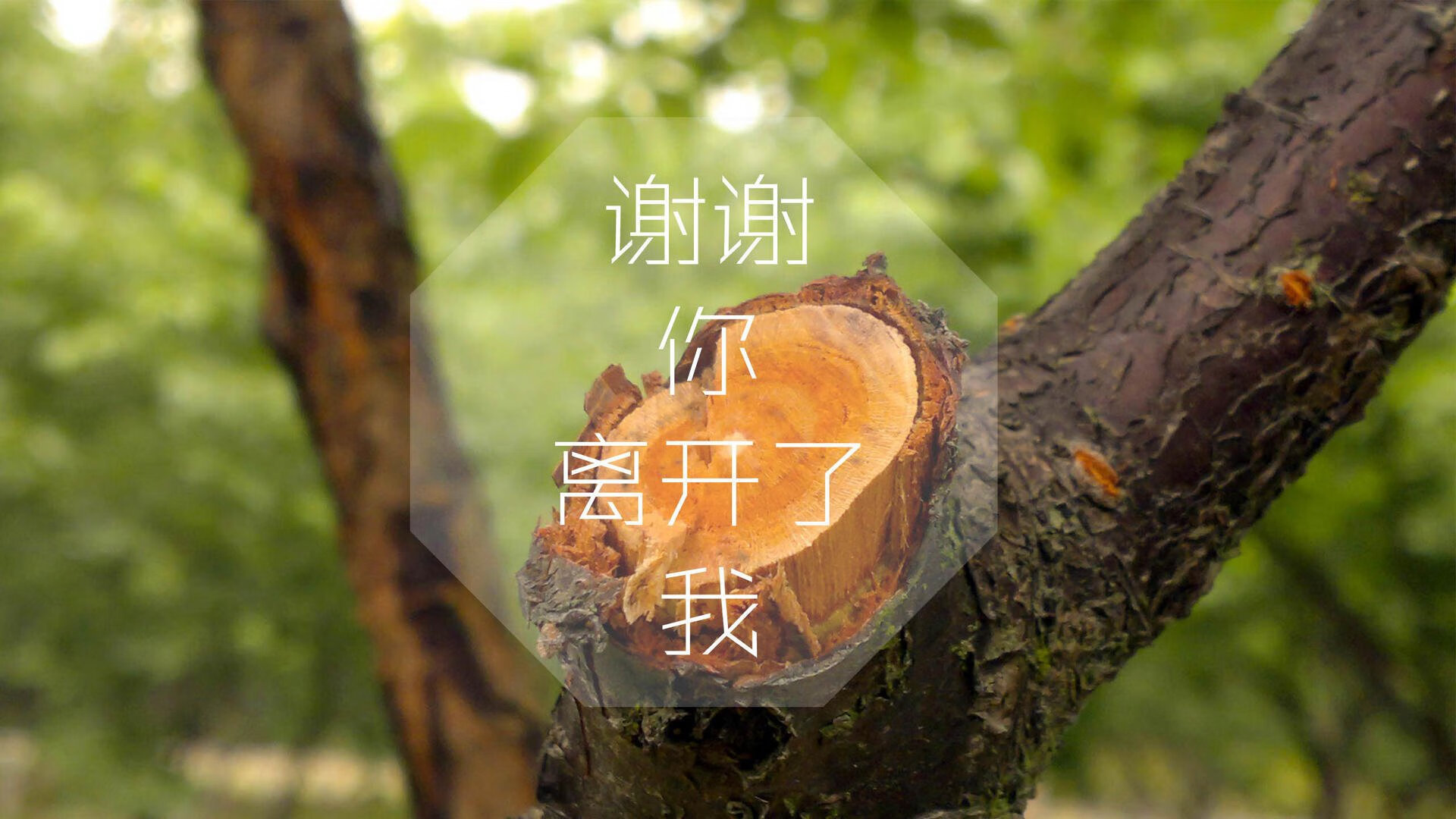 开云网站-精彩足球盛事持续进行，球队实力对比激烈，足够精彩 足球比赛