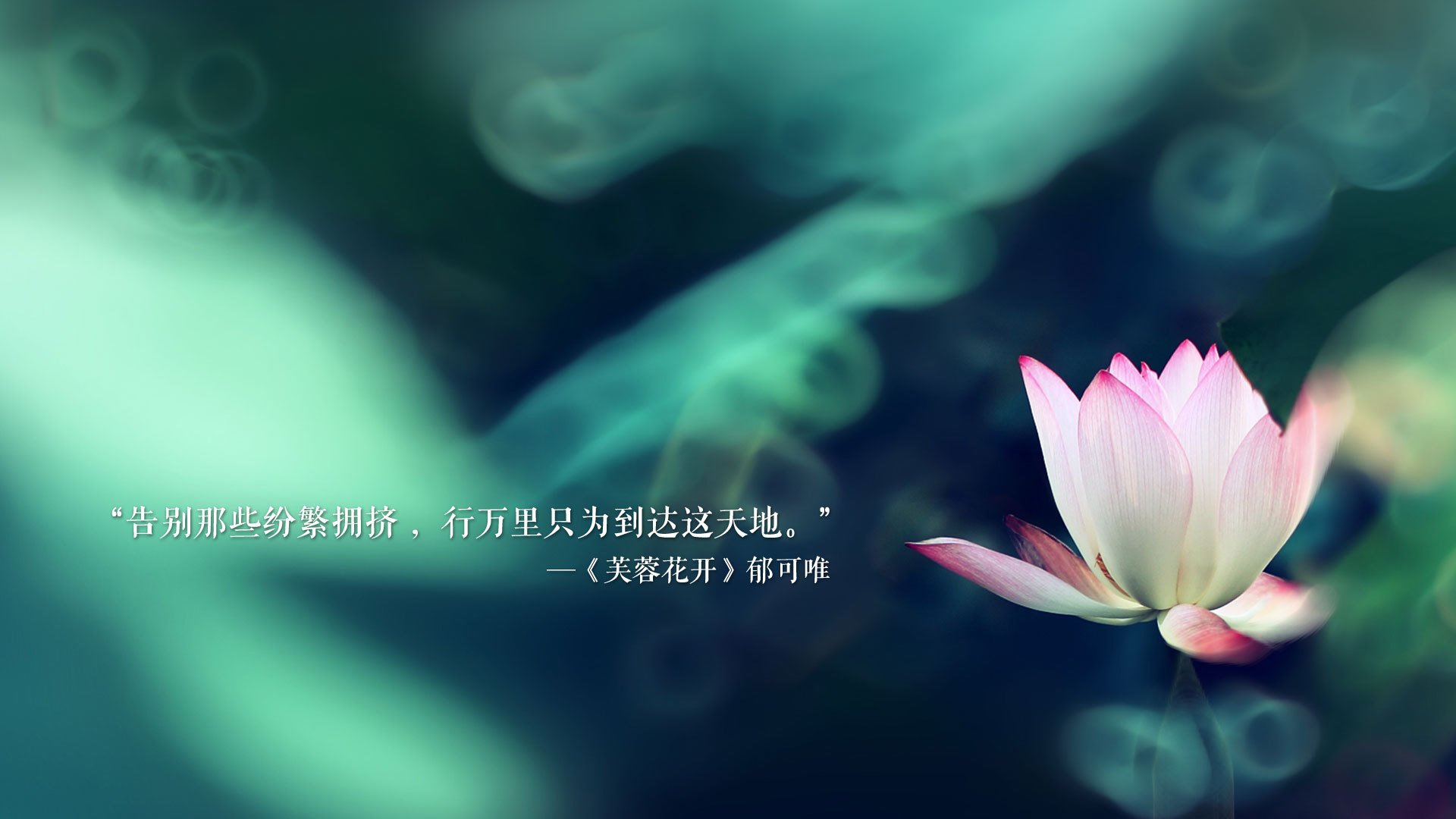 杨瀚森展现突破能力为球队打开局面，杨瀚森身高