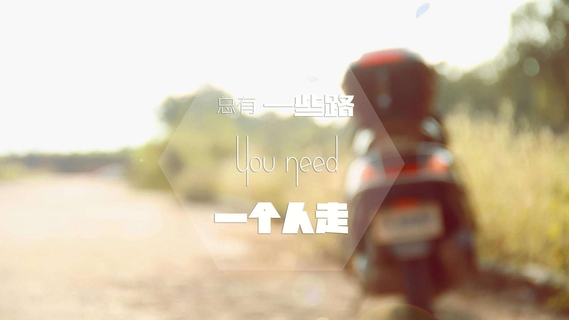 自由泳新老交替顺利，自由泳整体配合视频