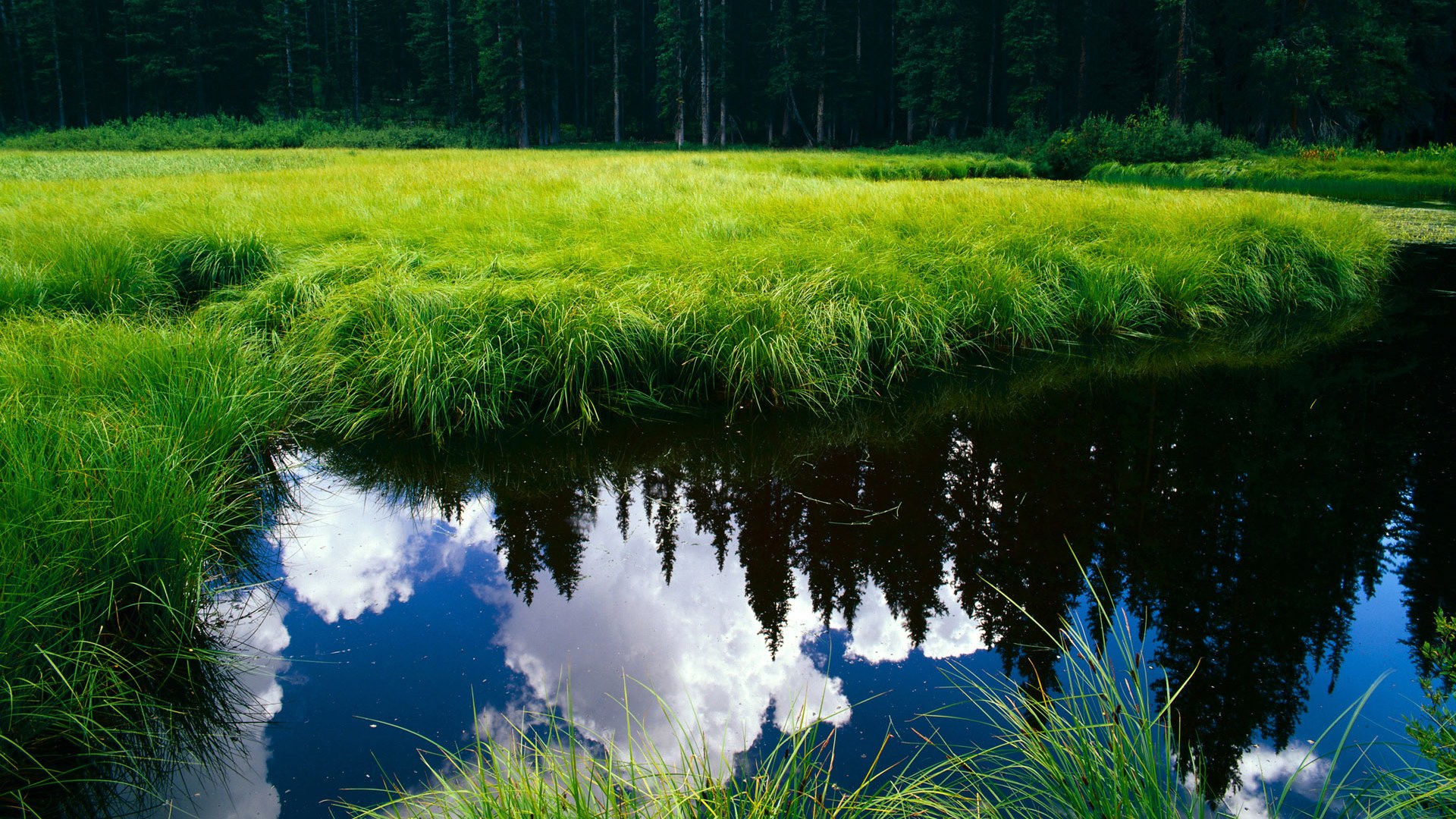 kaiyun.com-苏亚雷斯再显锋霸本色，助马竞力保西甲冠军