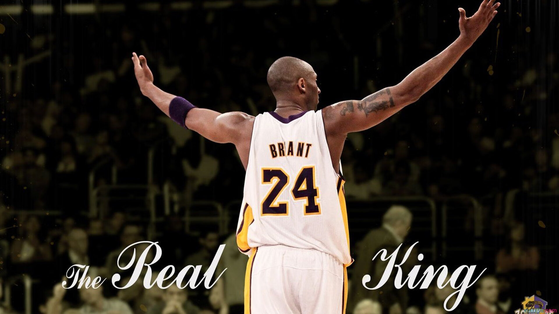 开云app注册-全国青少年篮球体育舞蹈节在武汉精彩展开，融合多元素表演，少年篮球舞蹈秀视频